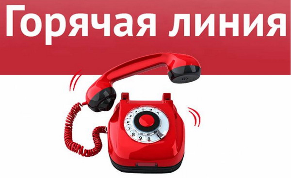 "Горячая линия" по услугам такси и каршеринга.