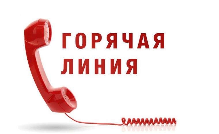 "Горячая линия" по вопросам качества и безопасности детских товаров и выбору новогодних подарков.